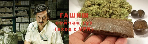 ПСИЛОЦИБИНОВЫЕ ГРИБЫ Гусиноозёрск