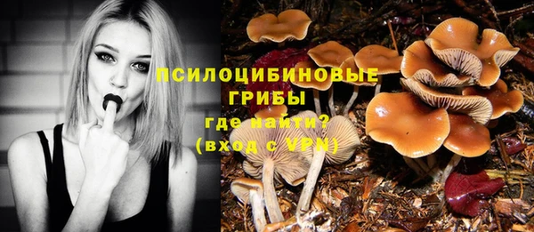 ПСИЛОЦИБИНОВЫЕ ГРИБЫ Гусиноозёрск