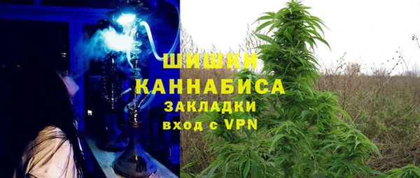 ПСИЛОЦИБИНОВЫЕ ГРИБЫ Гусиноозёрск