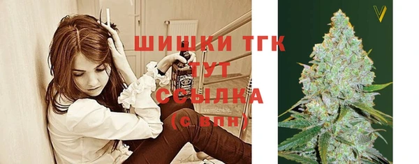 ПСИЛОЦИБИНОВЫЕ ГРИБЫ Гусиноозёрск