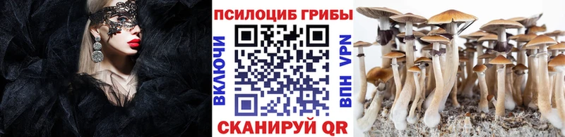 hydra ССЫЛКА  Ипатово  Галлюциногенные грибы ЛСД  где купить  