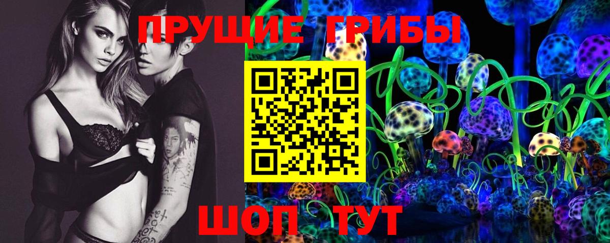 Псилоцибиновые грибы GOLDEN TEACHER Ипатово