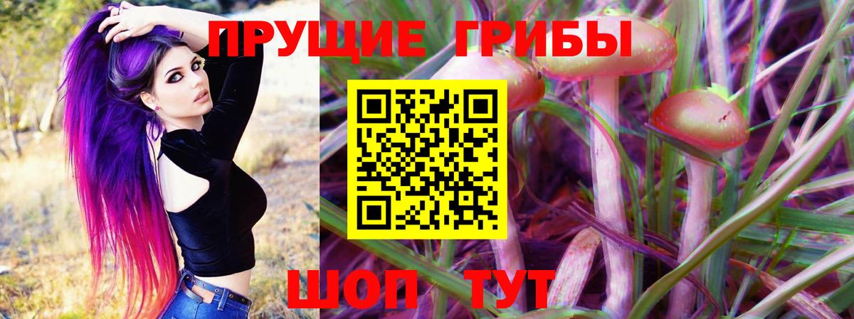 Ипатово  Псилоцибиновые грибы MAGIC MUSHROOMS  Вход с VPN  Галлюциногенные грибы GOLDEN TEACHER 
